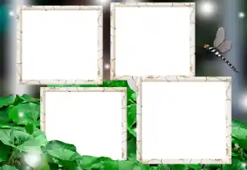 カテゴリのフォトエフェクト いろいろ № 182236 カテゴリのフォトエフェクト いろいろ № 182236