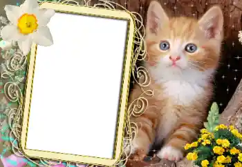 カテゴリのフォトエフェクト いろいろ № 183482 カテゴリのフォトエフェクト いろいろ № 183482