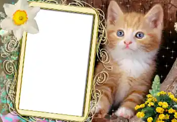 カテゴリのフォトエフェクト いろいろ № 1842