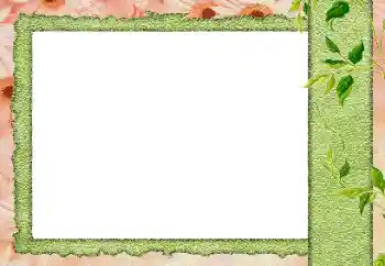 カテゴリのフォトエフェクト いろいろ № 184589 カテゴリのフォトエフェクト いろいろ № 184589