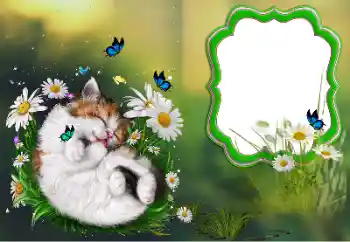 カテゴリのフォトエフェクト いろいろ № 184694 カテゴリのフォトエフェクト いろいろ № 184694