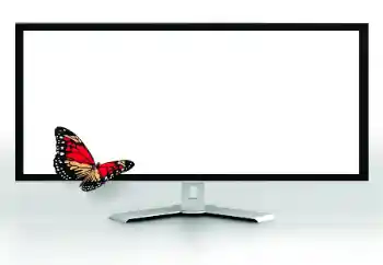 カテゴリのフォトエフェクト いろいろ № 185816 カテゴリのフォトエフェクト いろいろ № 185816