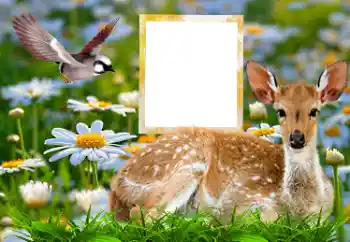 カテゴリのフォトエフェクト いろいろ № 185878 カテゴリのフォトエフェクト いろいろ № 185878