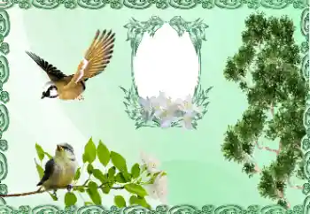 カテゴリのフォトエフェクト いろいろ № 185981 カテゴリのフォトエフェクト いろいろ № 185981