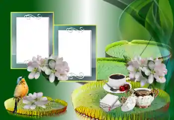 カテゴリのフォトエフェクト いろいろ № 185988 カテゴリのフォトエフェクト いろいろ № 185988