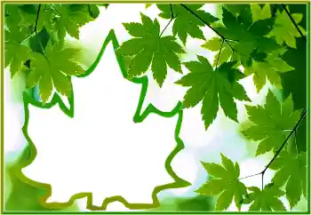 カテゴリのフォトエフェクト いろいろ № 186022 カテゴリのフォトエフェクト いろいろ № 186022