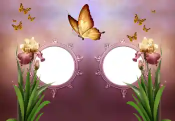 カテゴリのフォトエフェクト いろいろ № 191737 カテゴリのフォトエフェクト いろいろ № 191737