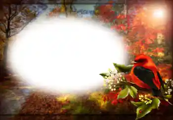 カテゴリのフォトエフェクト いろいろ № 191759 カテゴリのフォトエフェクト いろいろ № 191759