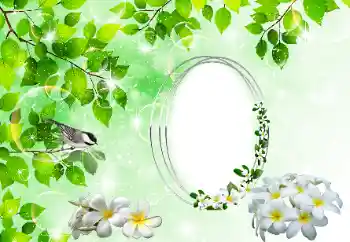 カテゴリのフォトエフェクト いろいろ № 196398