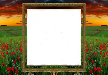 カテゴリのフォトエフェクト いろいろ № 196520