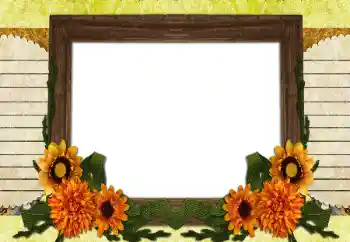 カテゴリのフォトエフェクト いろいろ № 196538