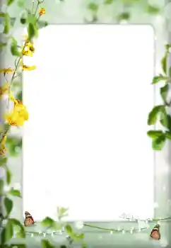 カテゴリのフォトエフェクト いろいろ № 198822