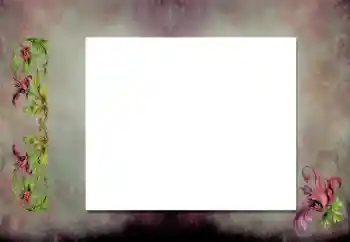 カテゴリのフォトエフェクト いろいろ № 198919