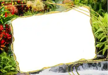 カテゴリのフォトエフェクト いろいろ № 20271 カテゴリのフォトエフェクト いろいろ № 20271