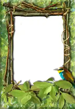 カテゴリのフォトエフェクト いろいろ № 20272 カテゴリのフォトエフェクト いろいろ № 20272