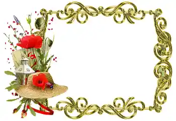 カテゴリのフォトエフェクト いろいろ № 205358