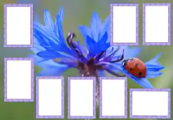 カテゴリのフォトエフェクト いろいろ № 205529