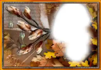 カテゴリのフォトエフェクト いろいろ № 205533 カテゴリのフォトエフェクト いろいろ № 205533