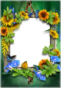 カテゴリのフォトエフェクト いろいろ № 205611 カテゴリのフォトエフェクト いろいろ № 205611