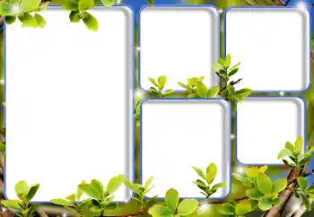 カテゴリのフォトエフェクト いろいろ № 205792