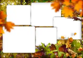 カテゴリのフォトエフェクト いろいろ № 205794