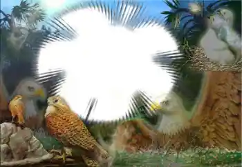 カテゴリのフォトエフェクト いろいろ № 22183 カテゴリのフォトエフェクト いろいろ № 22183