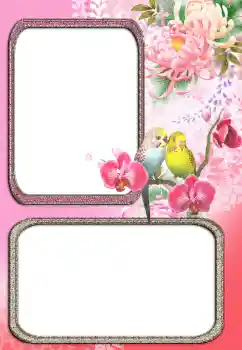 カテゴリのフォトエフェクト いろいろ № 24272 カテゴリのフォトエフェクト いろいろ № 24272