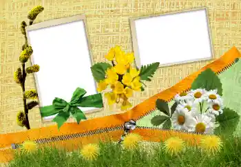 カテゴリのフォトエフェクト いろいろ № 24285 カテゴリのフォトエフェクト いろいろ № 24285