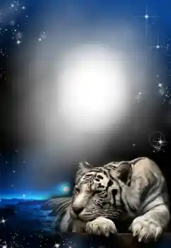 カテゴリのフォトエフェクト いろいろ № 24304 カテゴリのフォトエフェクト いろいろ № 24304