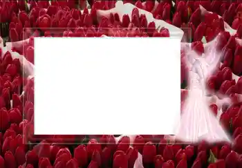 カテゴリのフォトエフェクト いろいろ № 2452