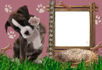 カテゴリのフォトエフェクト いろいろ № 24550 カテゴリのフォトエフェクト いろいろ № 24550