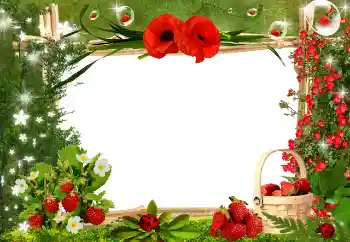 カテゴリのフォトエフェクト いろいろ № 25445 カテゴリのフォトエフェクト いろいろ № 25445