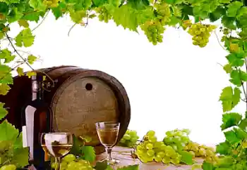 カテゴリのフォトエフェクト いろいろ № 26443 カテゴリのフォトエフェクト いろいろ № 26443