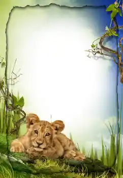 カテゴリのフォトエフェクト いろいろ № 26572 カテゴリのフォトエフェクト いろいろ № 26572