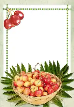 カテゴリのフォトエフェクト いろいろ № 2657