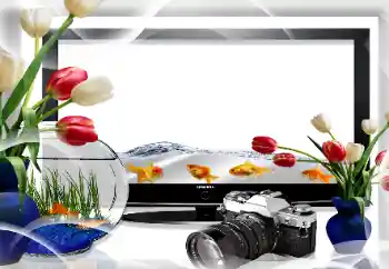 カテゴリのフォトエフェクト いろいろ № 26669 カテゴリのフォトエフェクト いろいろ № 26669