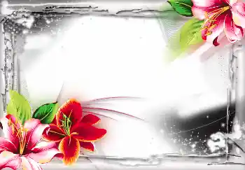 カテゴリのフォトエフェクト いろいろ № 2804