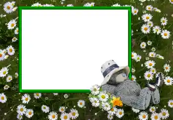 カテゴリのフォトエフェクト いろいろ № 2893