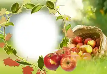 カテゴリのフォトエフェクト いろいろ № 34029 カテゴリのフォトエフェクト いろいろ № 34029