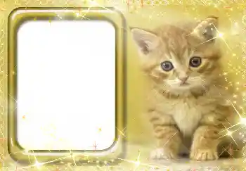 カテゴリのフォトエフェクト いろいろ № 3412