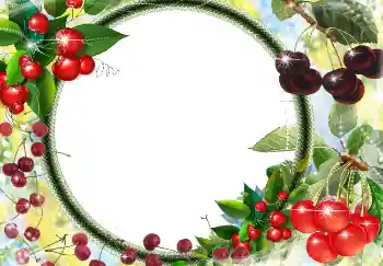 カテゴリのフォトエフェクト いろいろ № 3416