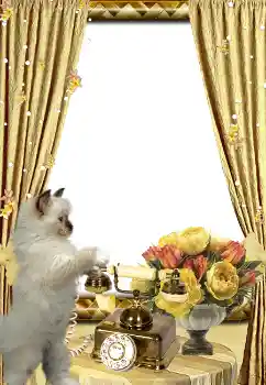 カテゴリのフォトエフェクト いろいろ № 3419