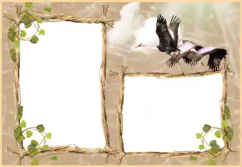 カテゴリのフォトエフェクト いろいろ № 3430