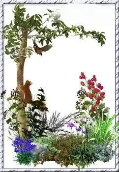 カテゴリのフォトエフェクト いろいろ № 34798 カテゴリのフォトエフェクト いろいろ № 34798