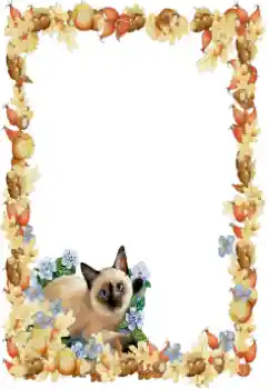 カテゴリのフォトエフェクト いろいろ № 34851 カテゴリのフォトエフェクト いろいろ № 34851