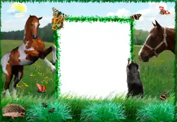 カテゴリのフォトエフェクト いろいろ № 34915 カテゴリのフォトエフェクト いろいろ № 34915