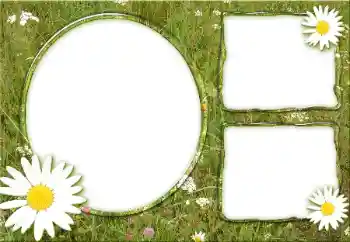 カテゴリのフォトエフェクト いろいろ № 34932 カテゴリのフォトエフェクト いろいろ № 34932