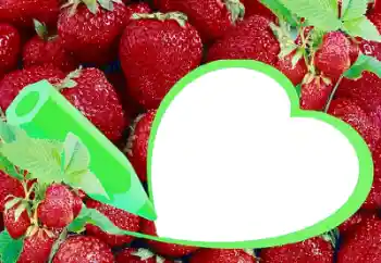 カテゴリのフォトエフェクト いろいろ № 36225 カテゴリのフォトエフェクト いろいろ № 36225