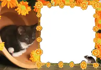 カテゴリのフォトエフェクト いろいろ № 36235 カテゴリのフォトエフェクト いろいろ № 36235