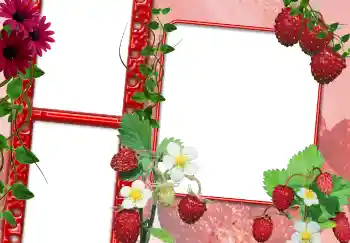 カテゴリのフォトエフェクト いろいろ № 3703